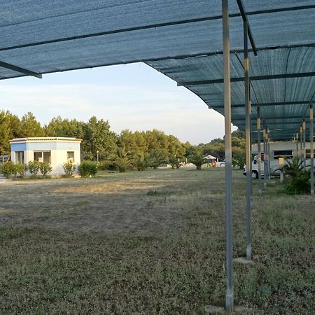 Villaggio Alga Blu Vieste Kültér fotó